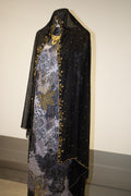 Dirac Galaxy set